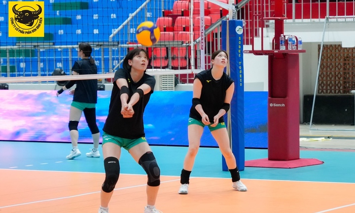 Lịch thi đấu bóng chuyền Cúp VTV9 - Bình Điền 2026 mới nhất
