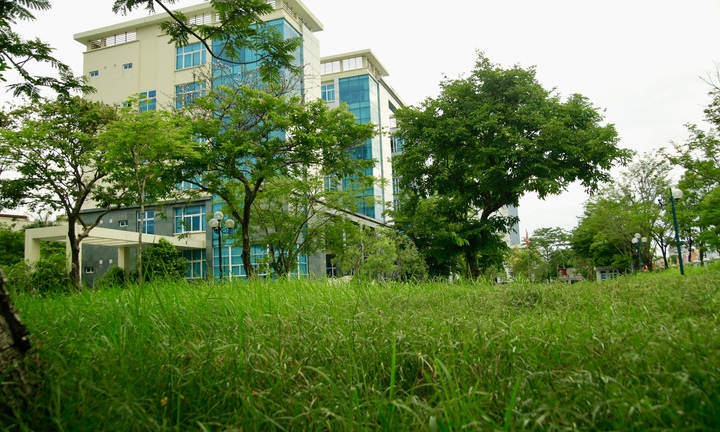 Bên trong khu nhà đất gần 20.000 m2 bỏ hoang chuẩn bị làm trụ sở UBND TP Huế