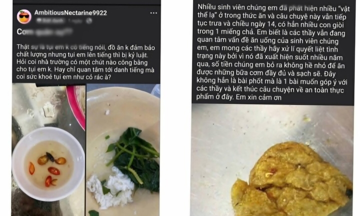 'Vật thể lạ trong thức ăn' của sinh viên ở Huế: Kết quả xác minh thế nào? 
