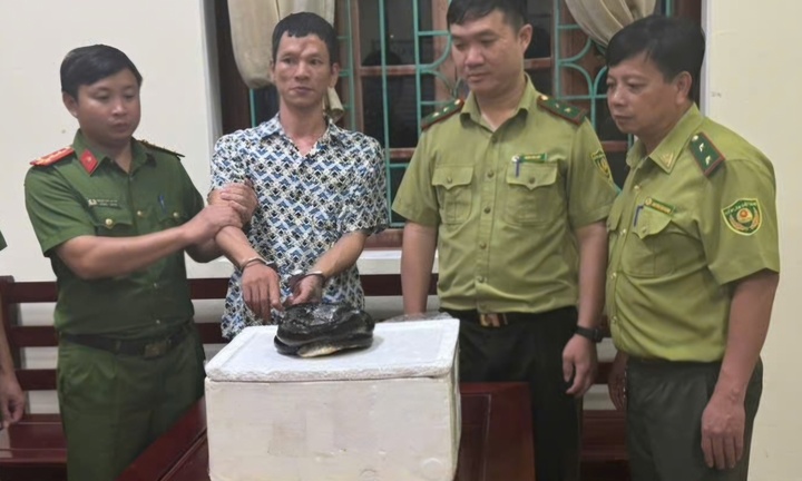 Mua rắn hổ chúa từ người lạ trên mạng, người đàn ông ở Ninh Bình bị khởi tố