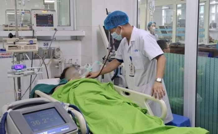 Ngất giữa đồng sau hai giờ gặt lúa dưới nắng gắt