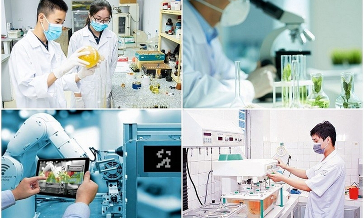 GS Nguyễn Đình Đức: Không thể tự chủ chiến lược quốc gia nếu không có khoa học cơ bản mạnh