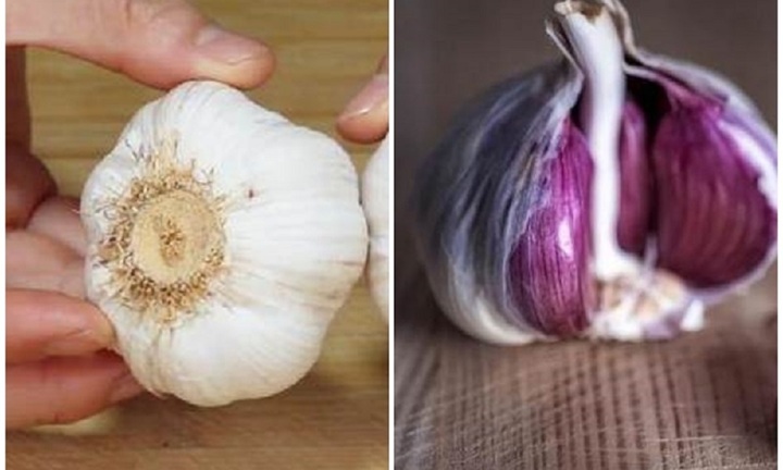 Tỏi vỏ tím có tốt hơn vỏ trắng?