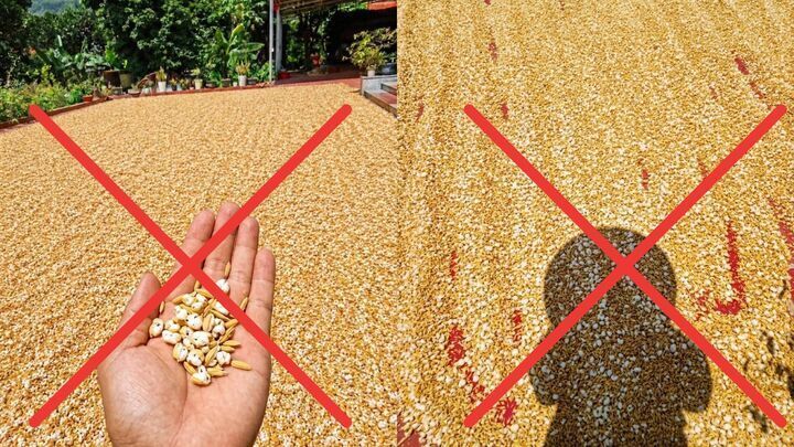 Xử phạt người đăng tin 'nắng nóng thóc phơi ngoài trời nổ thành bỏng'