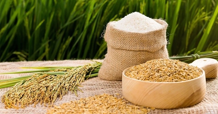 Giá lúa gạo hôm nay 3/6: Gạo xuất khẩu ổn định