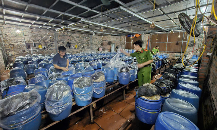 Tuồn 1.000 tấn giá đỗ ngâm hóa chất ra thị trường, 3 người bị bắt