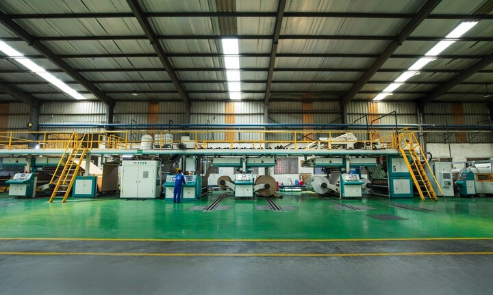 Bao bì Ngọc Diệp: Tiên phong chiến lược 'xanh hóa' chuỗi cung ứng
