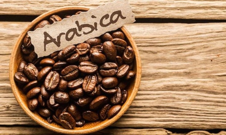 Giá cà phê hôm nay 6/6/2026: Arabica chạm 'đáy' 18 tháng