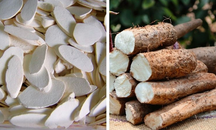 Tác dụng của củ hoài sơn tươi với sức khỏe
