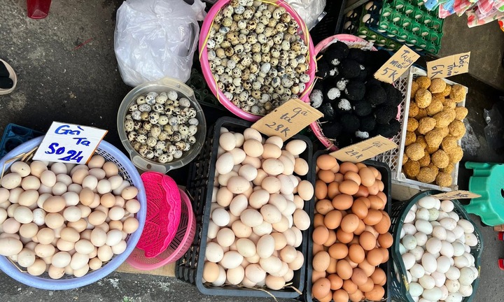 Trứng gà rớt giá, người nuôi lỗ nặng, bán lẻ giảm nhỏ giọt