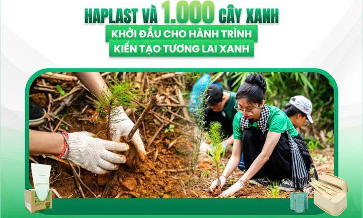 Haplast và 1.000 cây xanh: Khởi đầu cho hành trình kiến tạo tương lai xanh