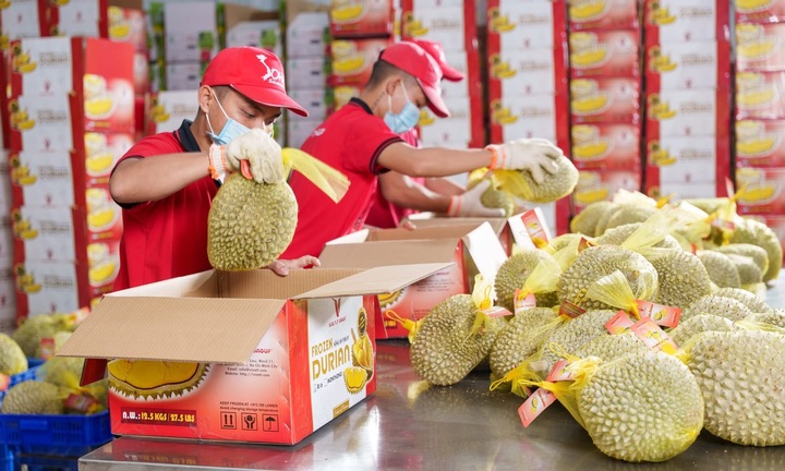 To retain the market of 1,4 billion people, Vietnamese agricultural products must compete on quality.