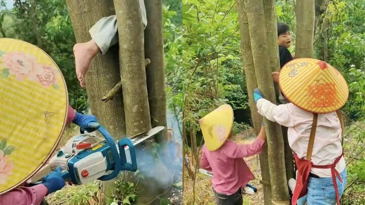 Xem giải cứu em bé mắc kẹt khi trèo cây, dân mạng than 'khối nghỉ hè quá mạnh' 
