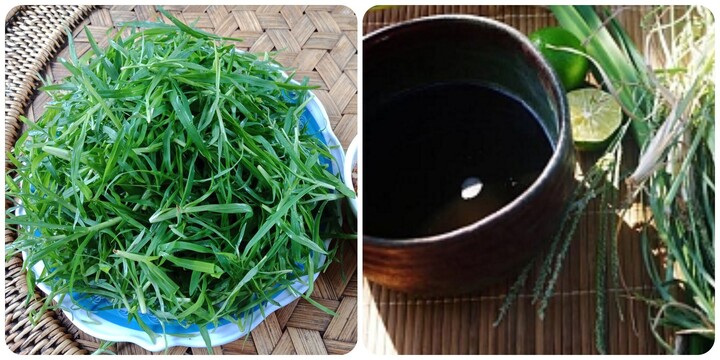 Cỏ mần trầu nấu nước uống có tác dụng gì?