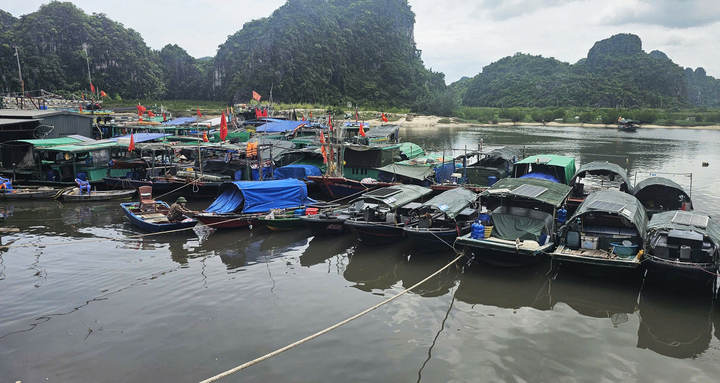 Ứng phó bão số 1, Hải Phòng và Quảng Ninh cấm biển, kiểm đếm tàu thuyền