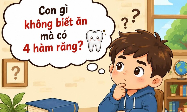 Con gì không biết ăn mà có 4 hàm răng?