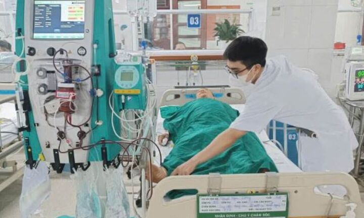 Ăn mật cá trắm, cụ ông suýt mất mạng phải lọc máu 