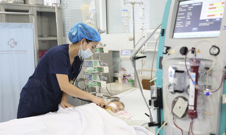 Bé trai 15 tháng tuổi nguy kịch sau khi bị ong vò vẽ đốt 60 nốt
