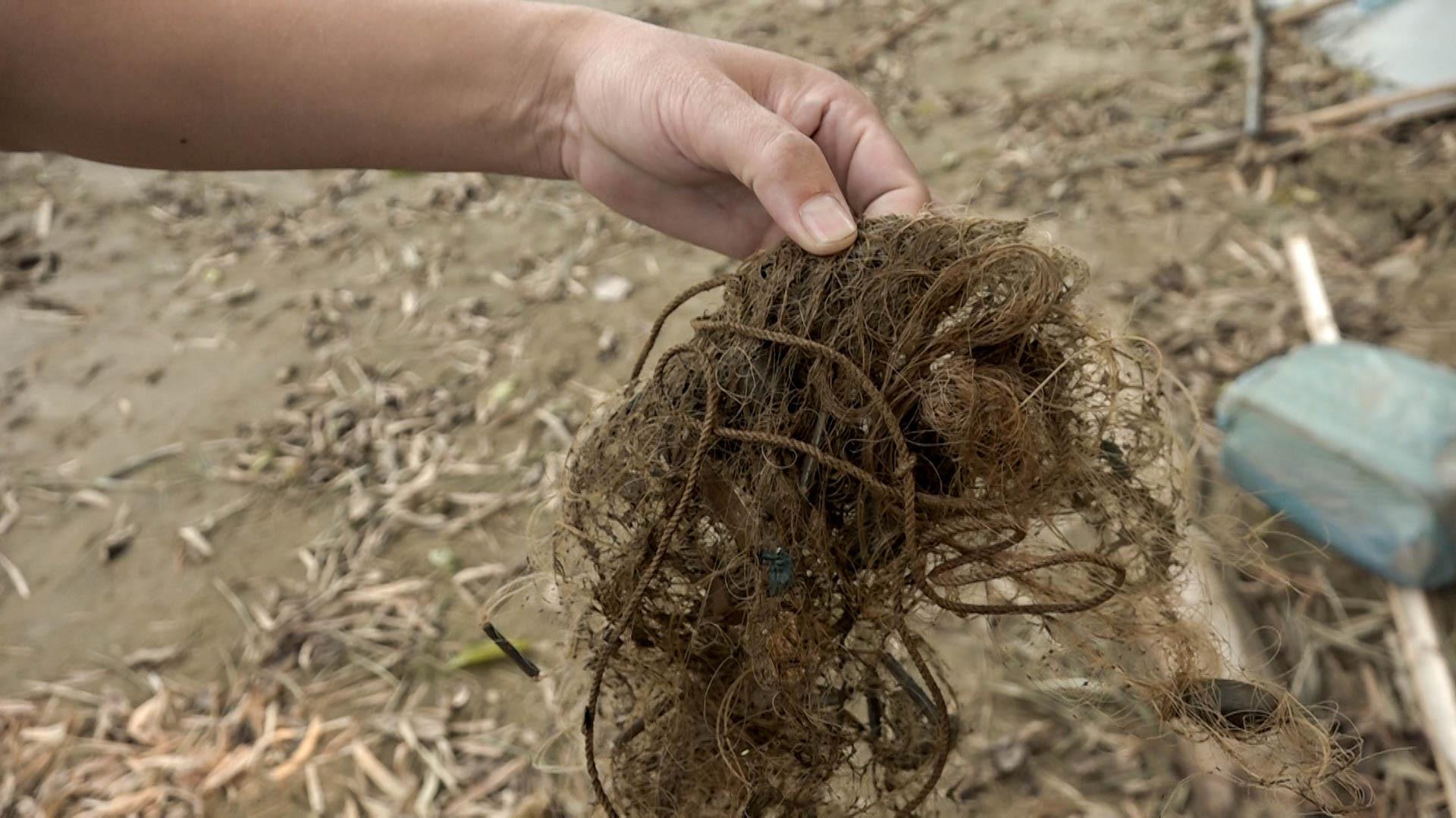 Sông Hồng - sông Mẹ và những ẩn họa chực chờ - 8