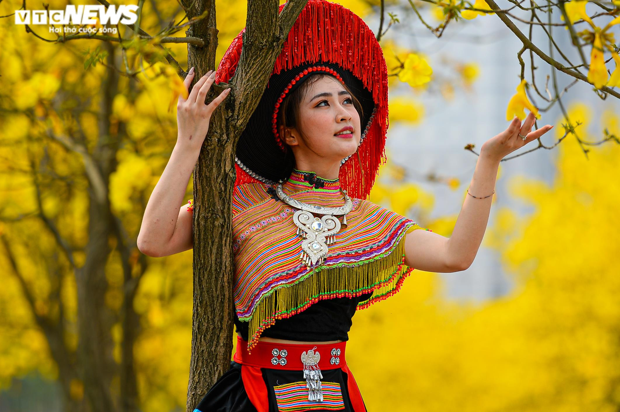 Biển người kéo về đường hoa phong linh vàng rực ở Hà Nội, bãi xe 'thất thủ' - 4