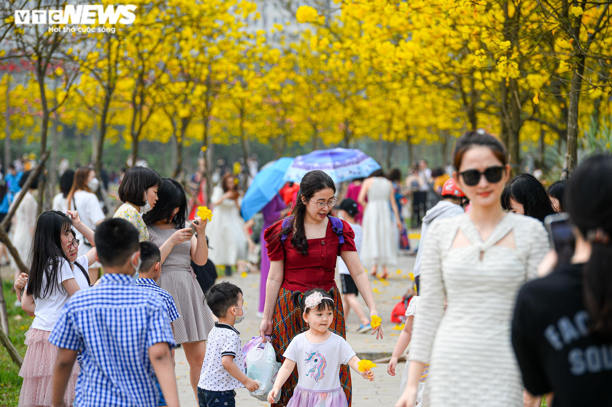 Biển người kéo về đường hoa phong linh vàng rực ở Hà Nội, bãi xe 'thất thủ' - 10