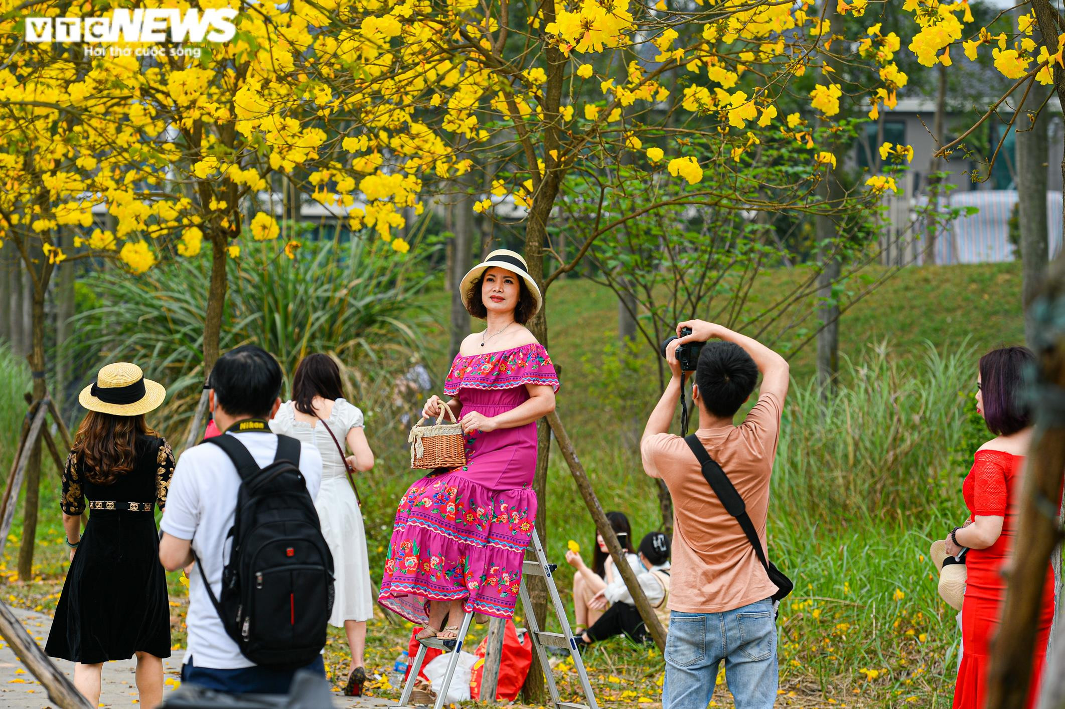 Biển người kéo về đường hoa phong linh vàng rực ở Hà Nội, bãi xe 'thất thủ' - 6
