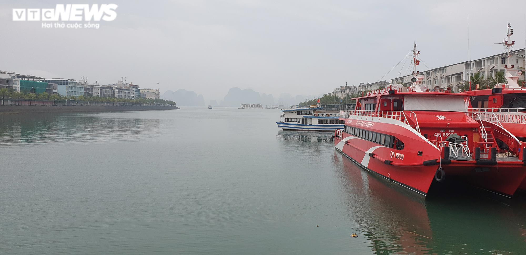 Quảng Ninh mở cửa du lịch quốc tế, nhiều chủ tàu vẫn ‘án binh bất động’ - 8