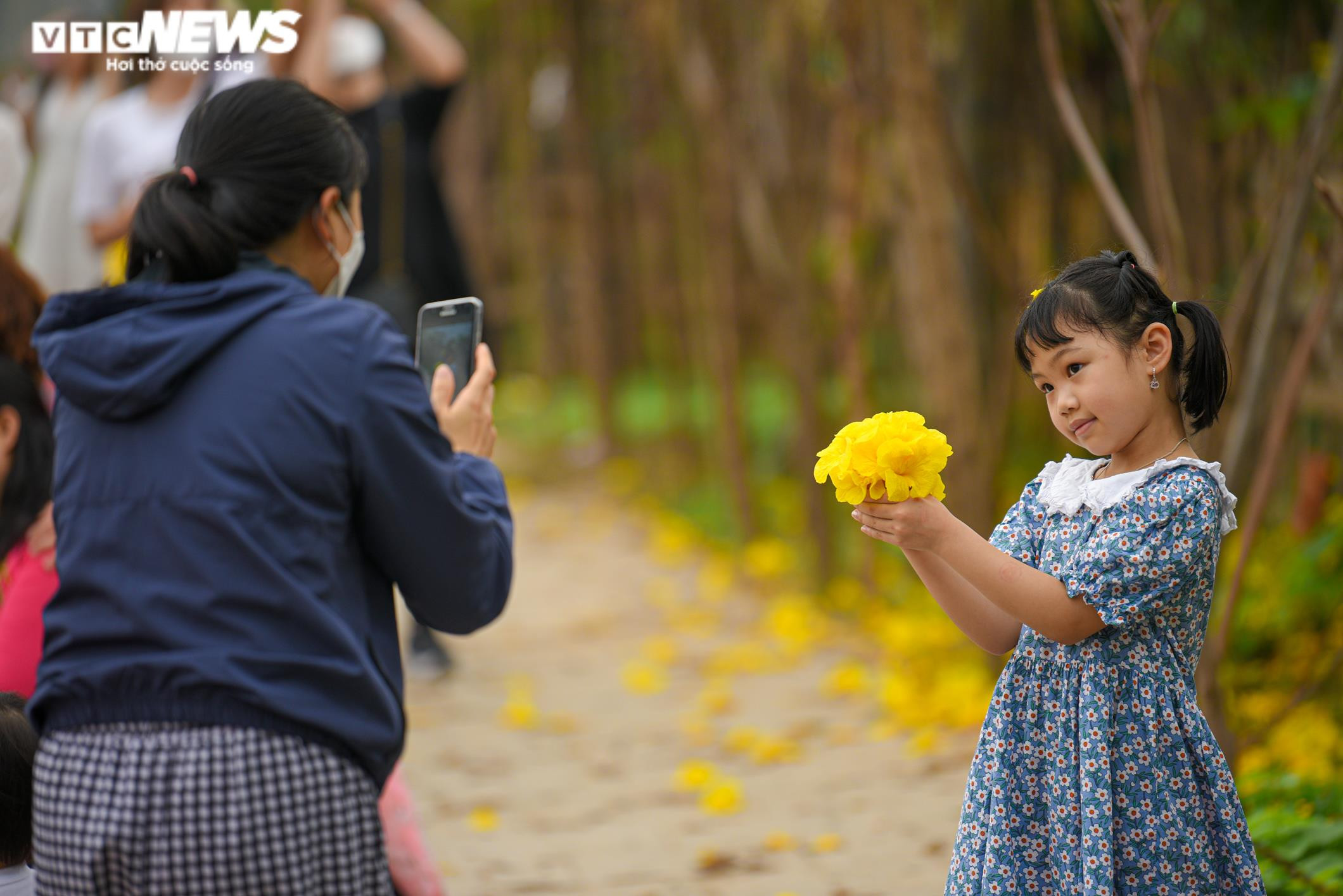 Ảnh: Phát hiện đường hoa phong linh mới, người Hà Nội lại kéo đến check-in - 7