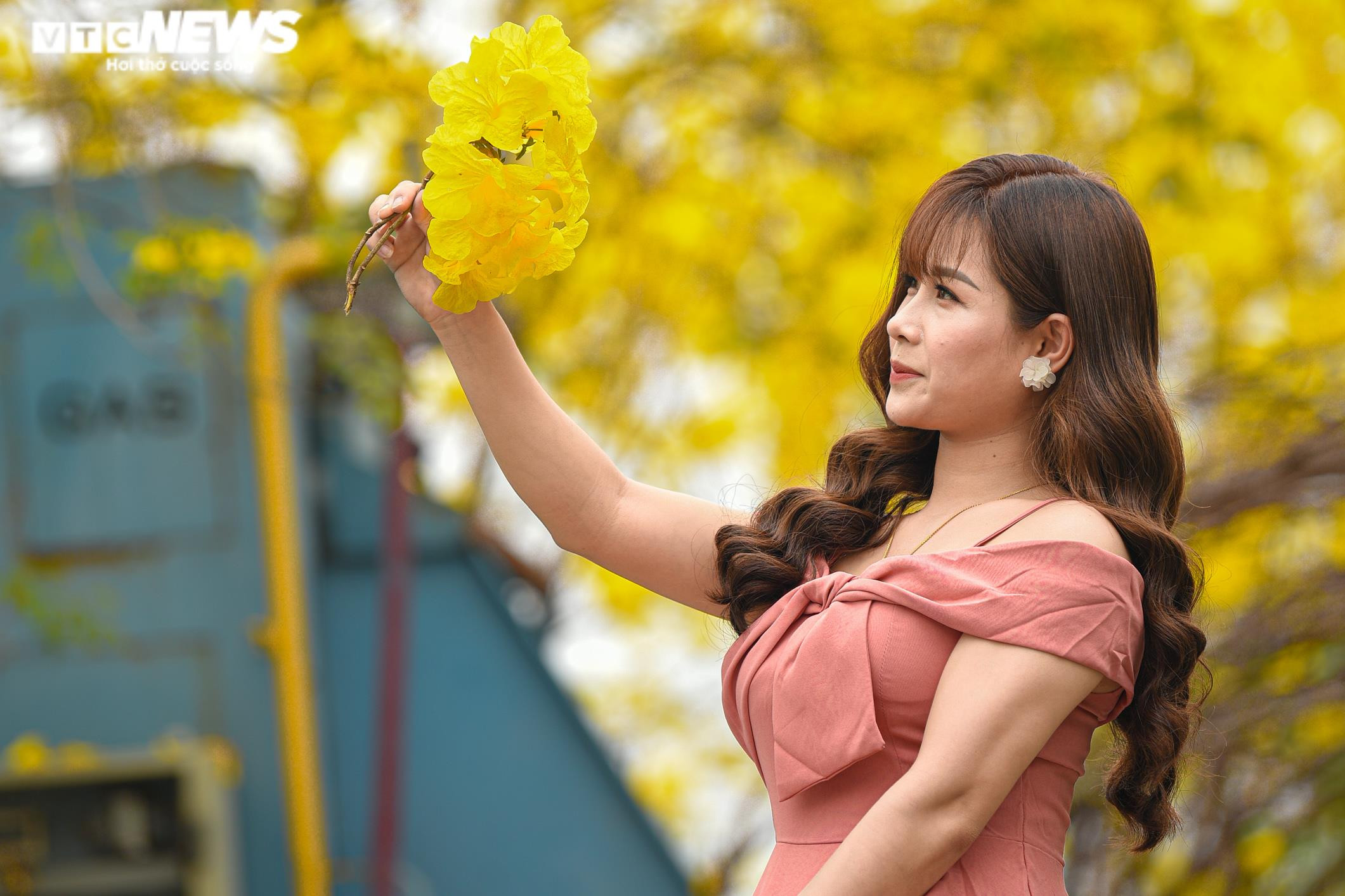 Ảnh: Phát hiện đường hoa phong linh mới, người Hà Nội lại kéo đến check-in - 5