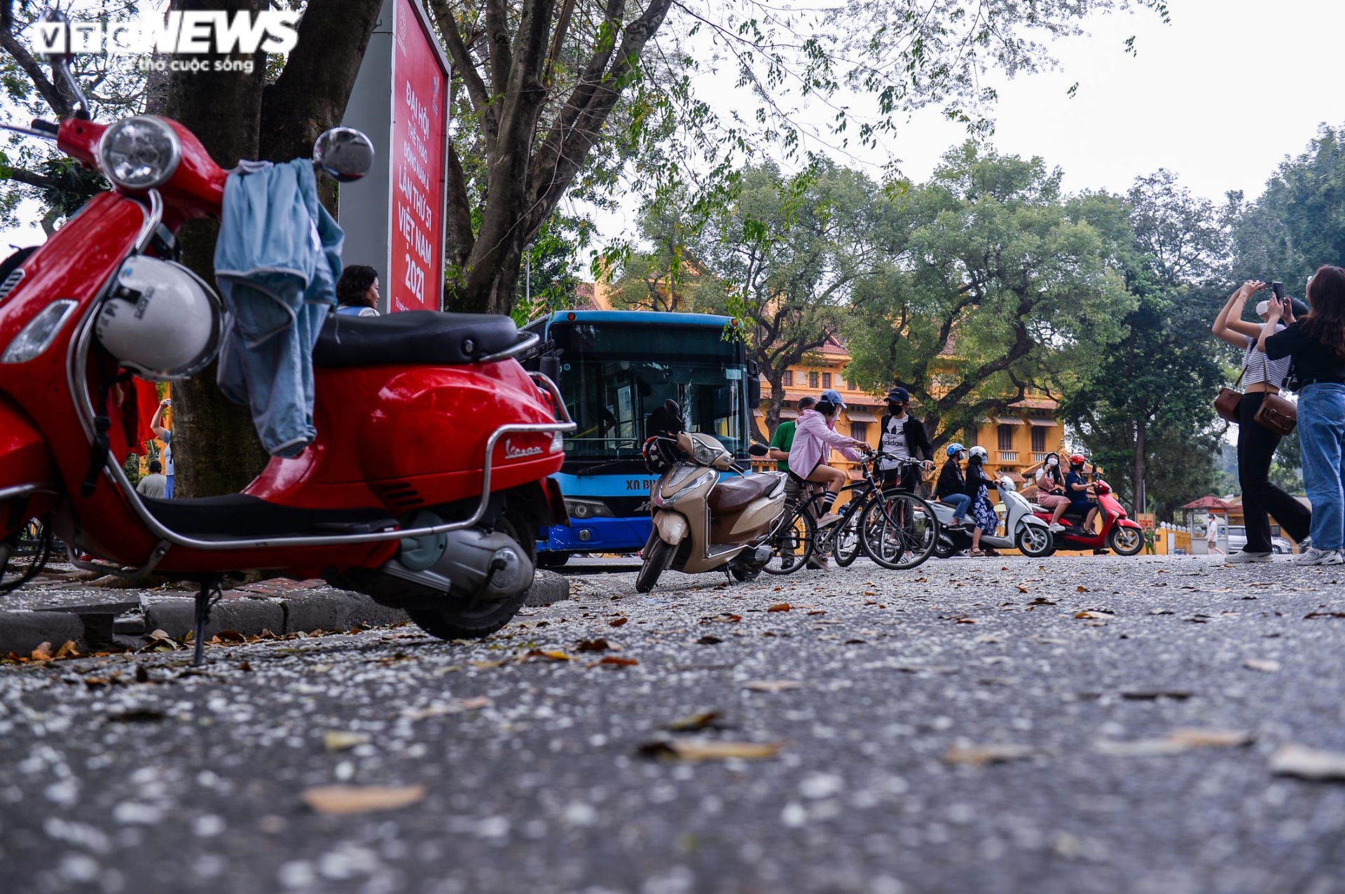 Sau hoa phong linh, người Hà Nội rủ nhau check-in cùng hoa sưa nở trắng trời - 4