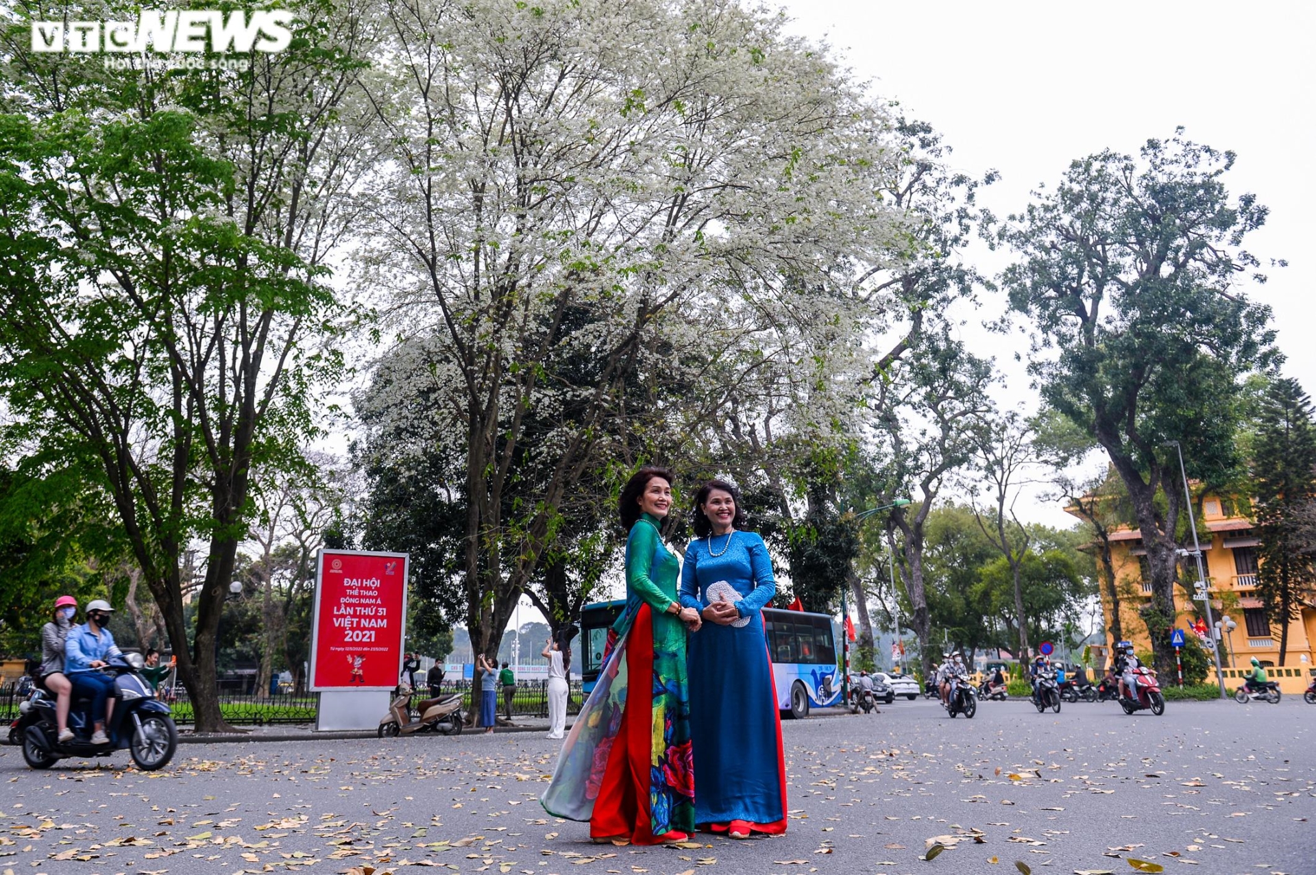 Sau hoa phong linh, người Hà Nội rủ nhau check-in cùng hoa sưa nở trắng trời - 5