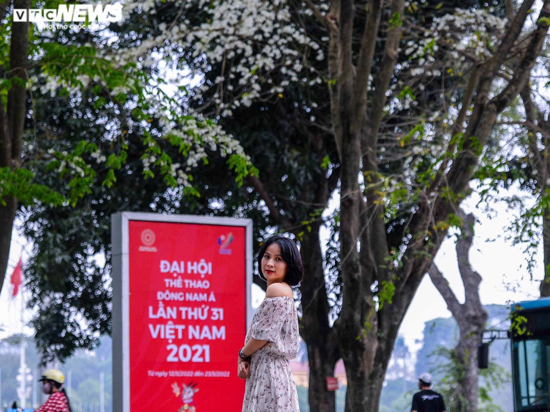 Sau hoa phong linh, người Hà Nội rủ nhau check-in cùng hoa sưa nở trắng trời - 7