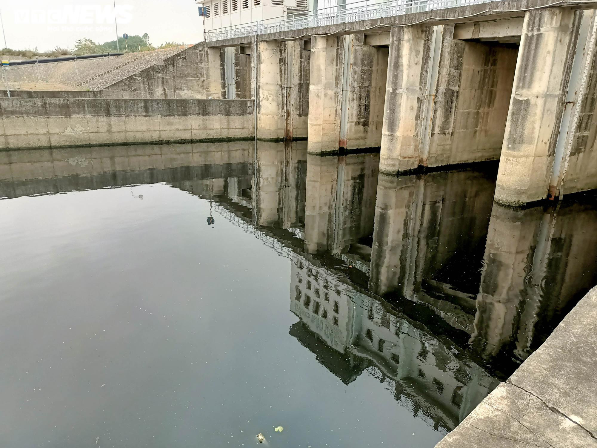 Sông Hồng đang chết dần - 3