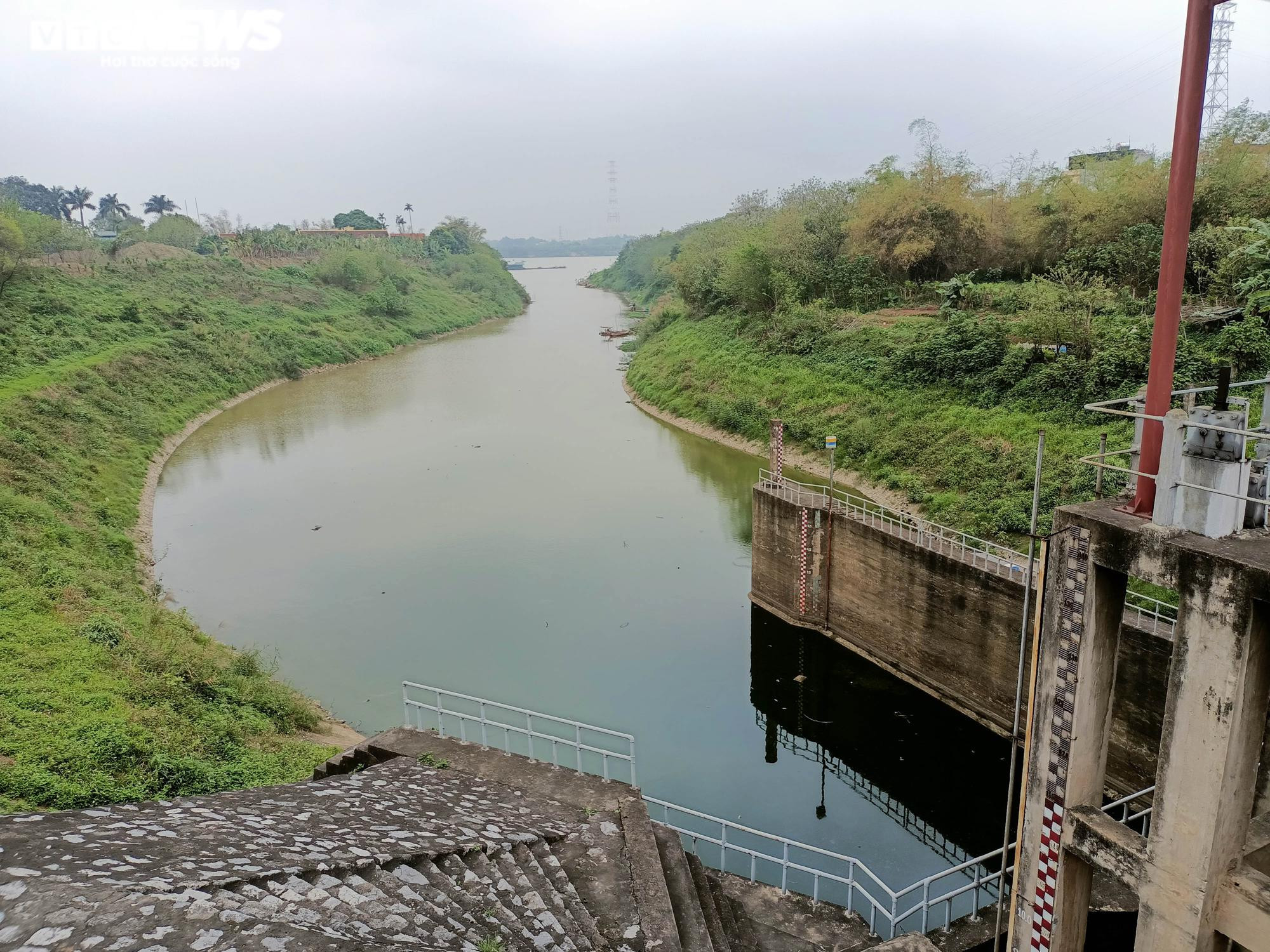 Sông Hồng đang chết dần - 4