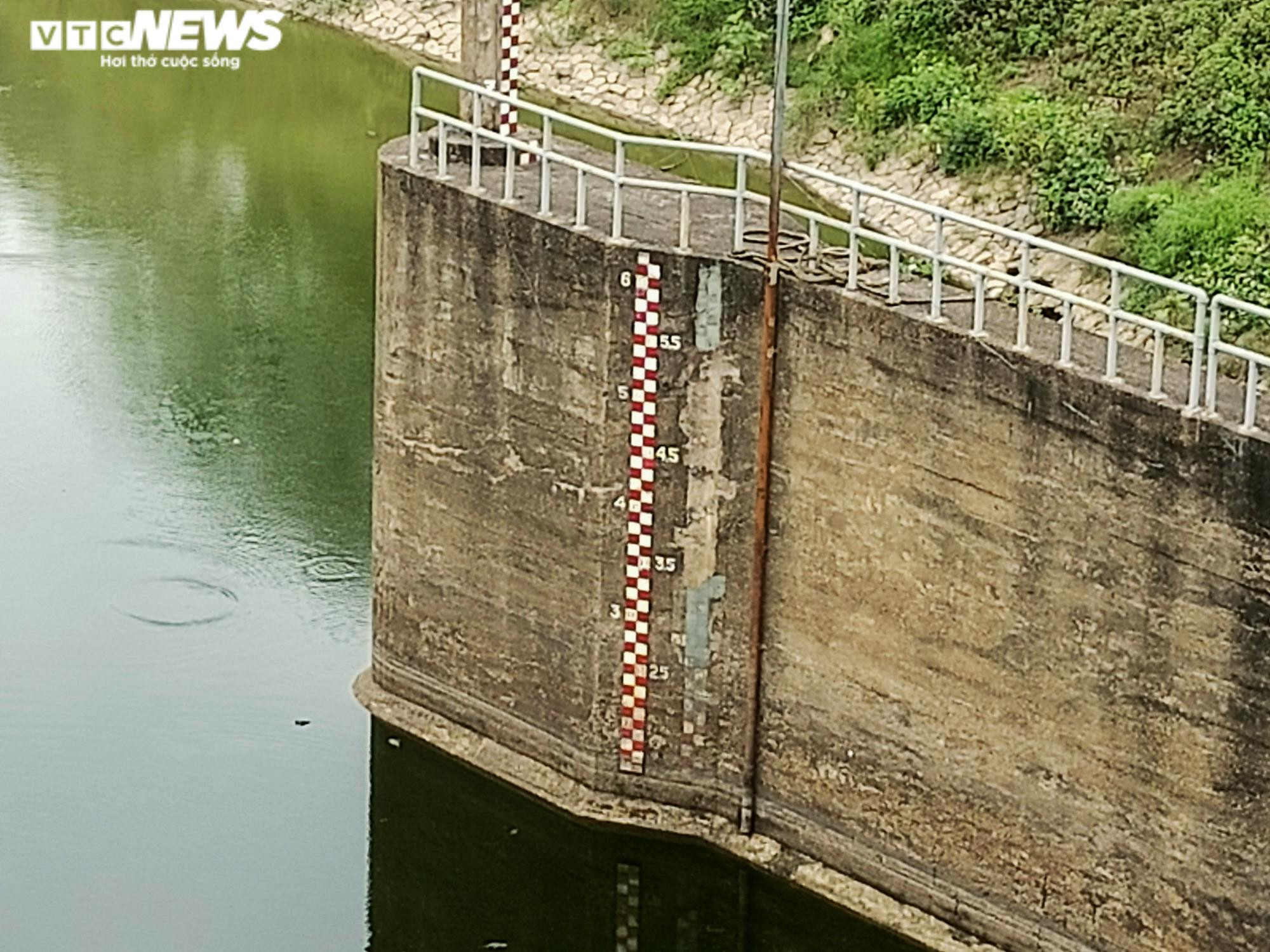 Sông Hồng đang chết dần - 5