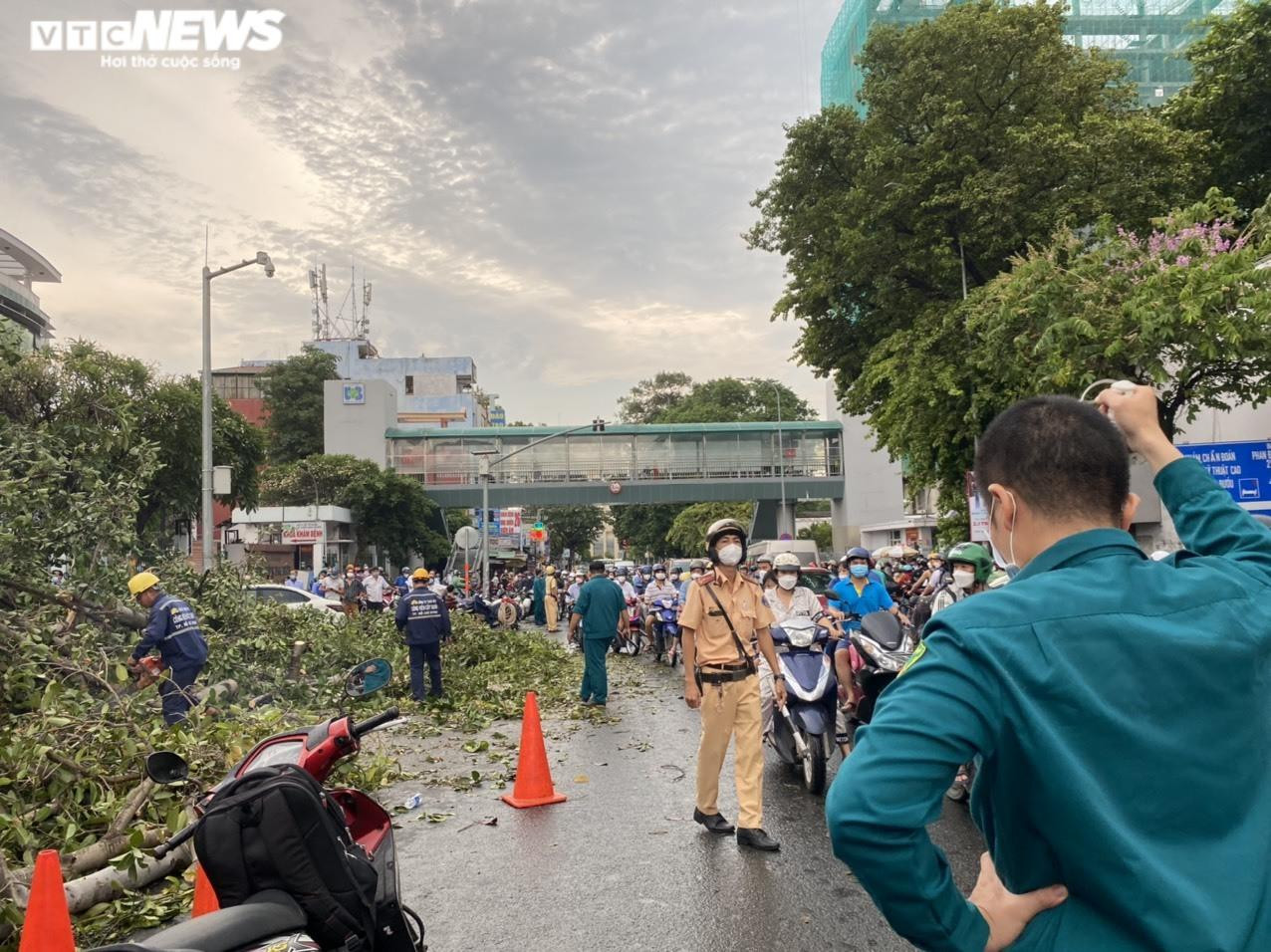 Ảnh: Cây đa cổ thụ ở TP.HCM bật gốc, đè 2 ô tô và quán ăn - 9