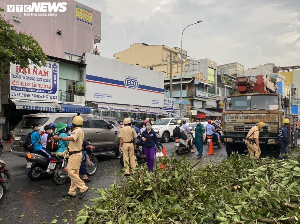 Ảnh: Cây đa cổ thụ ở TP.HCM bật gốc, đè 2 ô tô và quán ăn - 5