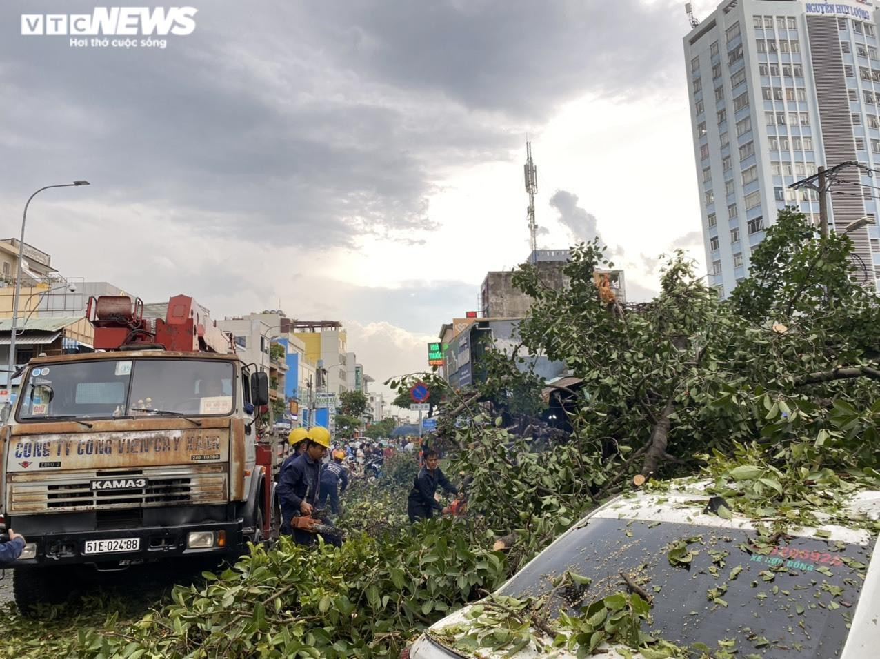 Ảnh: Cây đa cổ thụ ở TP.HCM bật gốc, đè 2 ô tô và quán ăn - 6