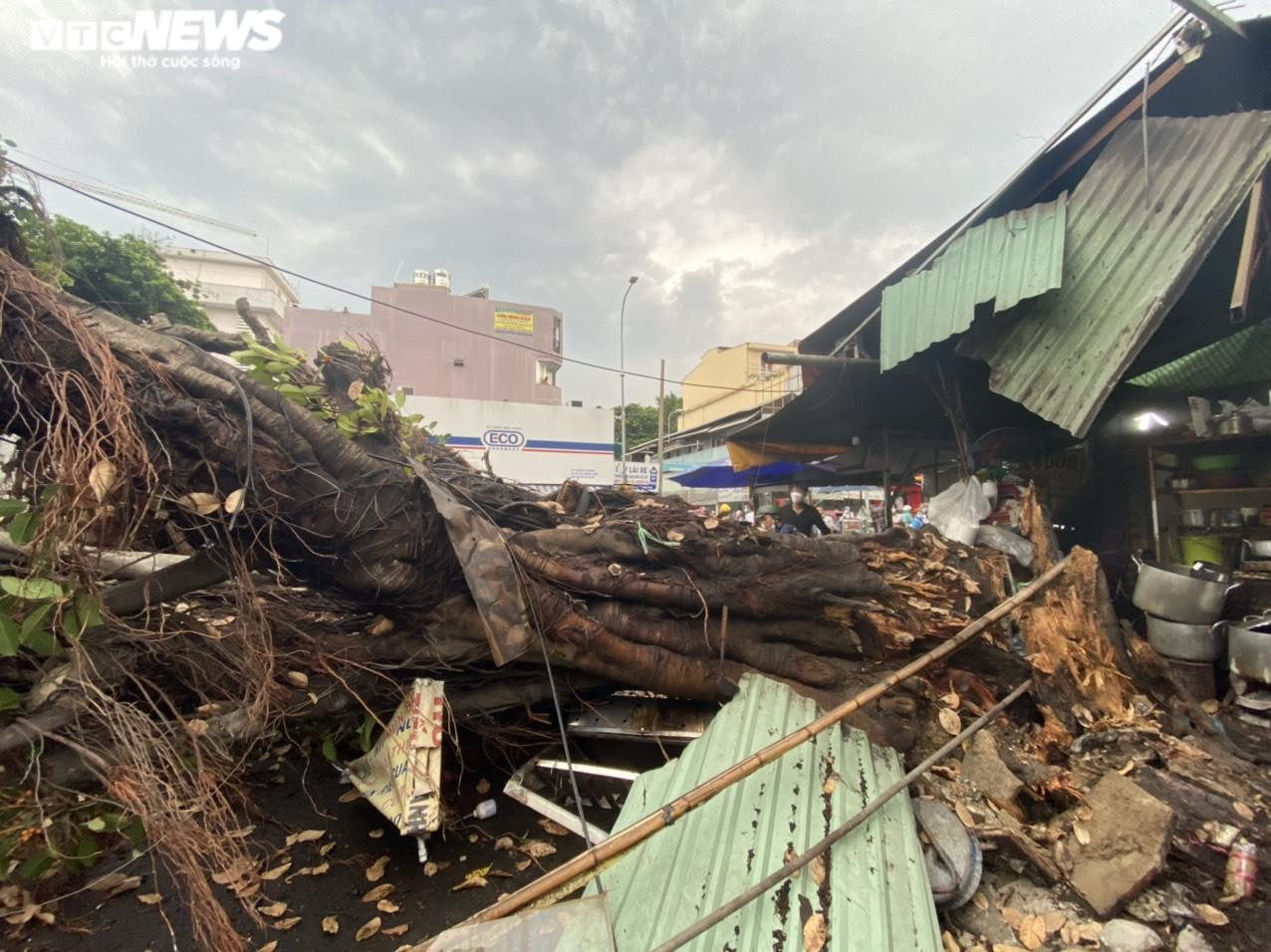 Ảnh: Cây đa cổ thụ ở TP.HCM bật gốc, đè 2 ô tô và quán ăn - 12