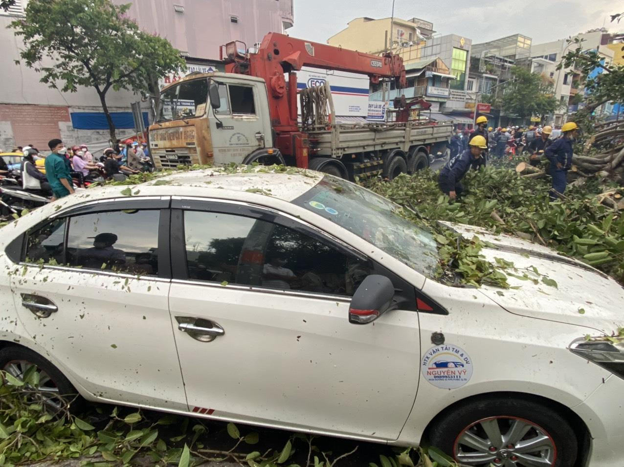 Ảnh: Cây đa cổ thụ ở TP.HCM bật gốc, đè 2 ô tô và quán ăn - 7