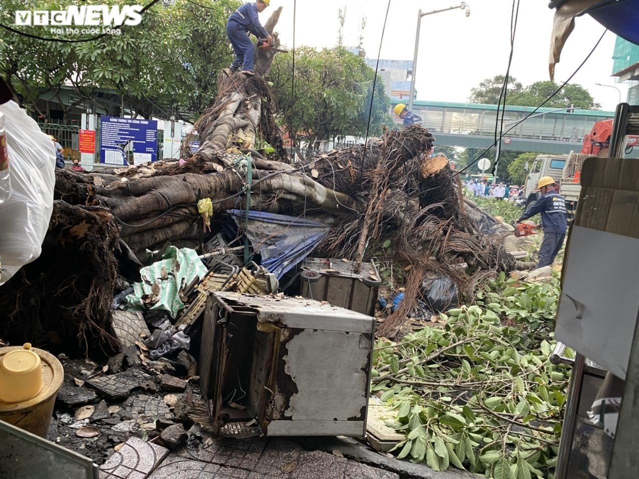 Ảnh: Cây đa cổ thụ ở TP.HCM bật gốc, đè 2 ô tô và quán ăn - 11