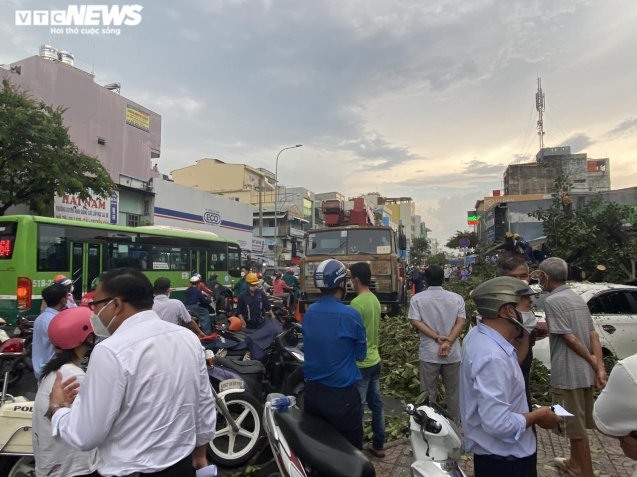 Ảnh: Cây đa cổ thụ ở TP.HCM bật gốc, đè 2 ô tô và quán ăn - 10