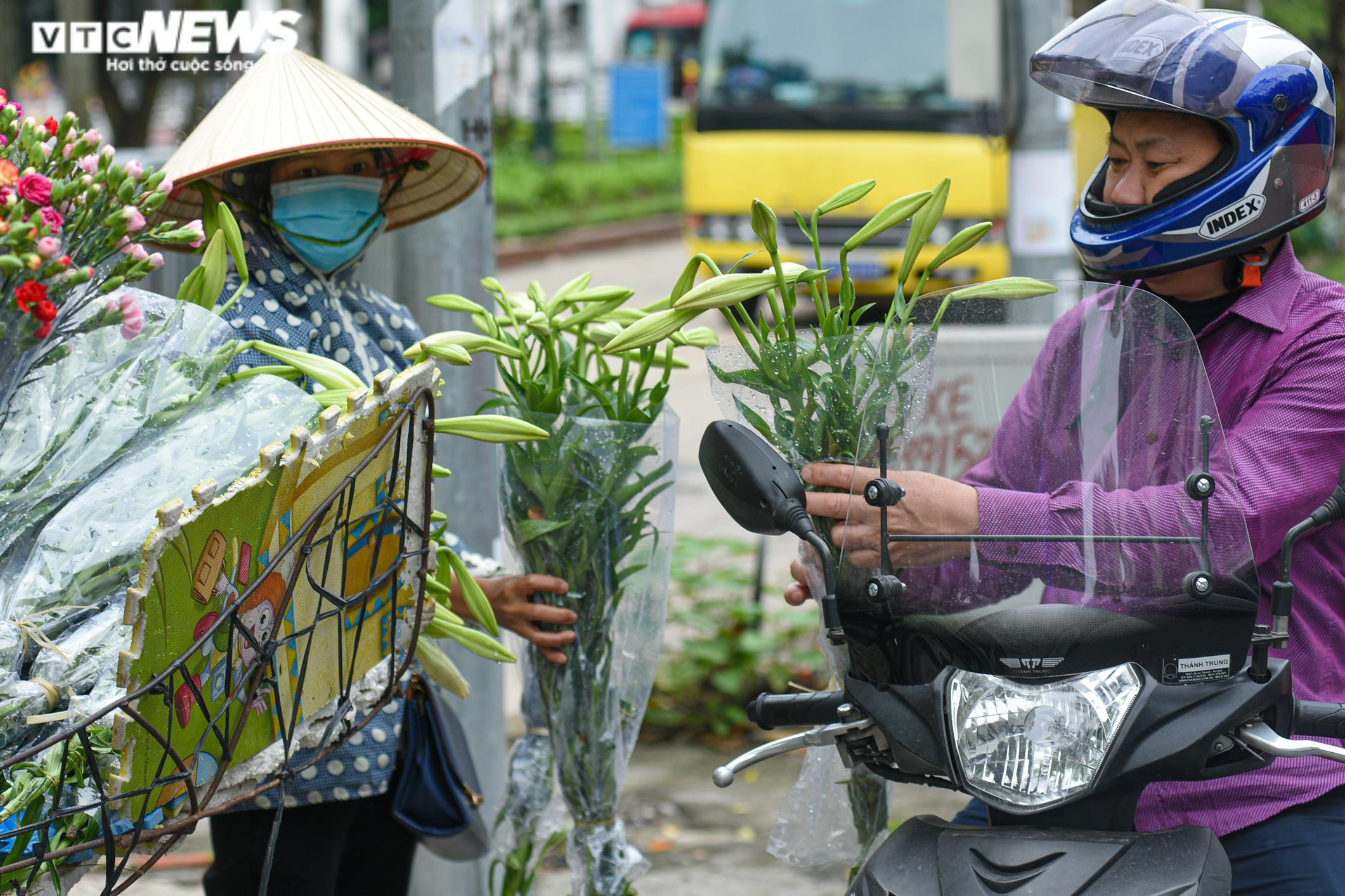 Ảnh: Hoa loa kèn khoe sắc khắp phố phường Hà Nội - 2