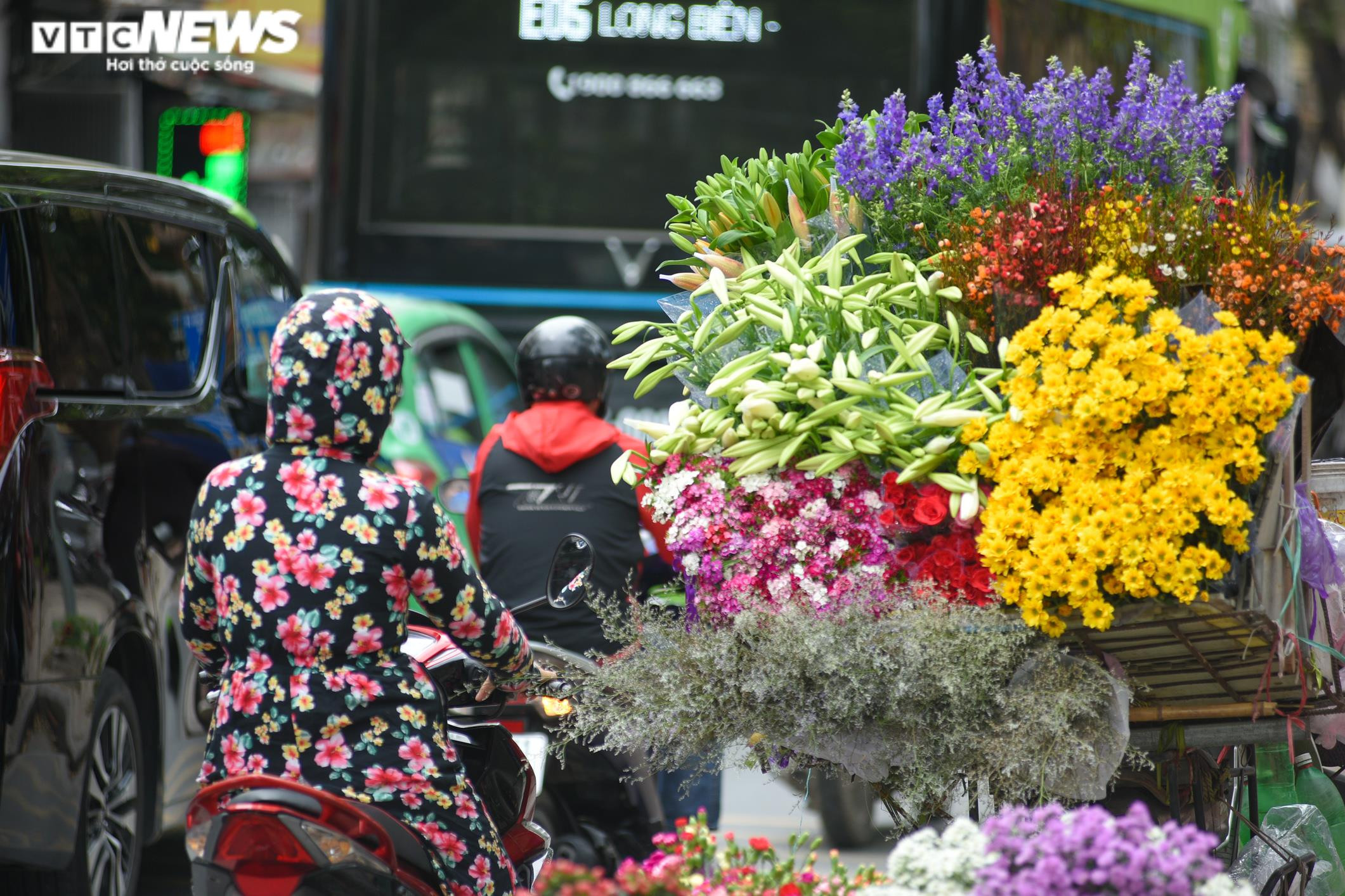 Ảnh: Hoa loa kèn khoe sắc khắp phố phường Hà Nội - 1