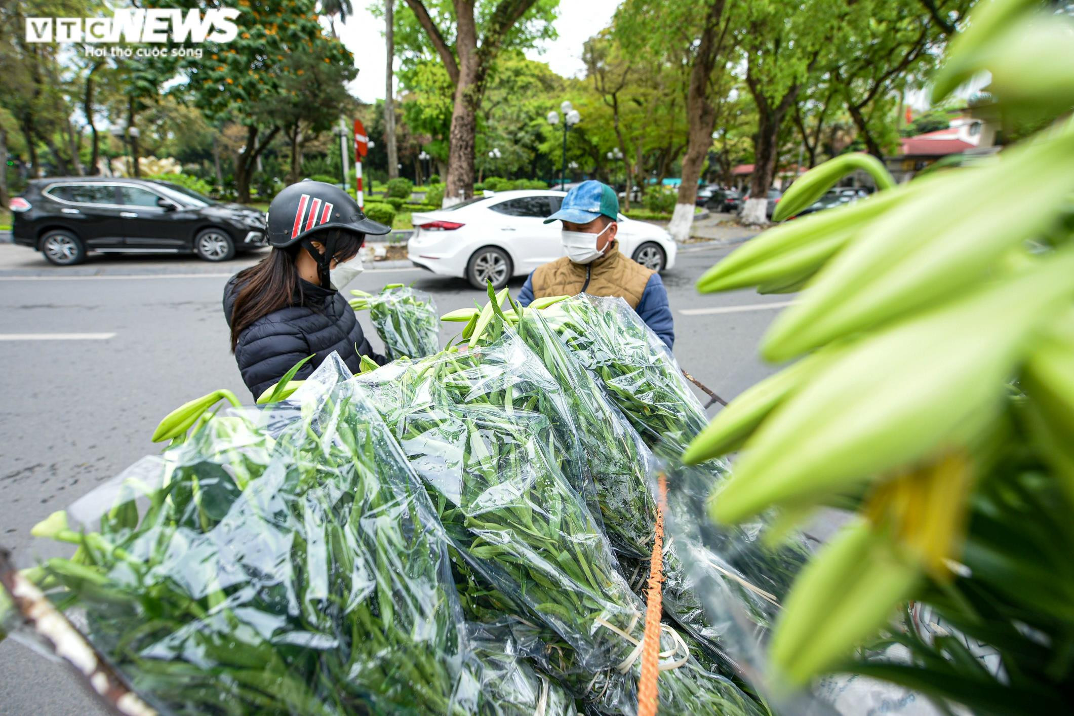 Ảnh: Hoa loa kèn khoe sắc khắp phố phường Hà Nội - 7