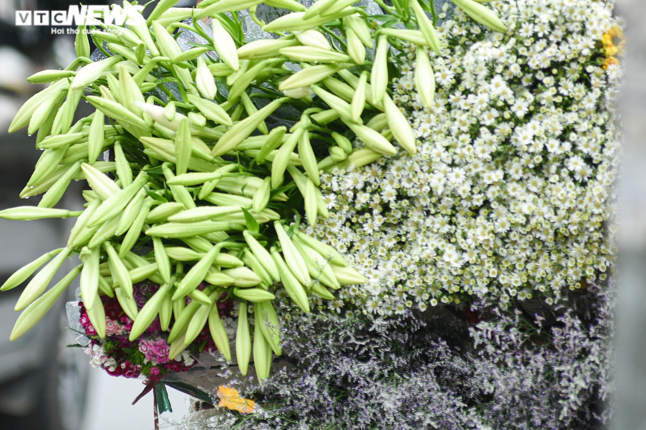 Ảnh: Hoa loa kèn khoe sắc khắp phố phường Hà Nội - 3