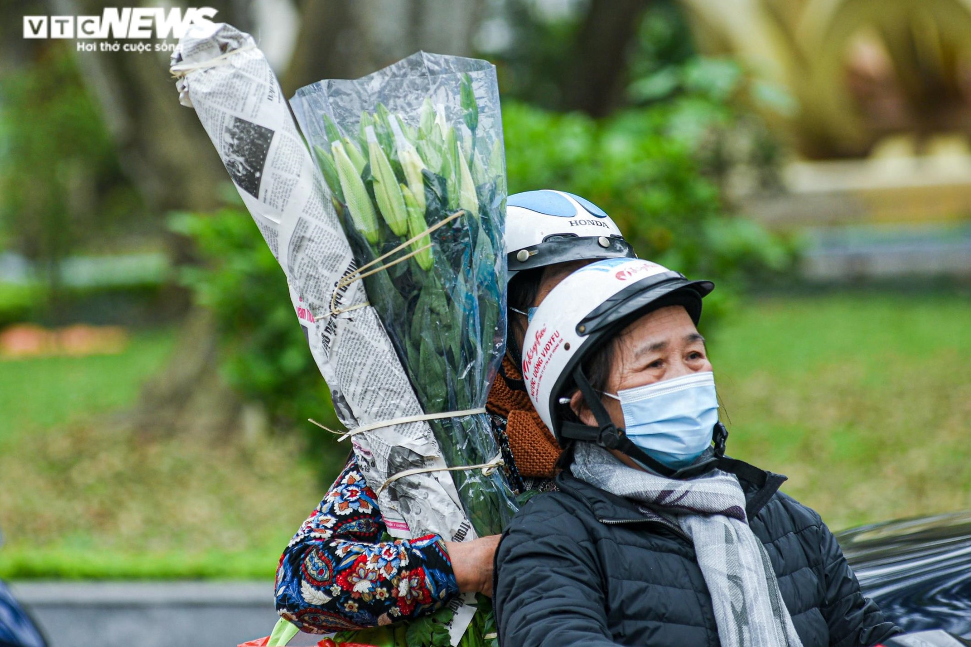 Ảnh: Hoa loa kèn khoe sắc khắp phố phường Hà Nội - 9