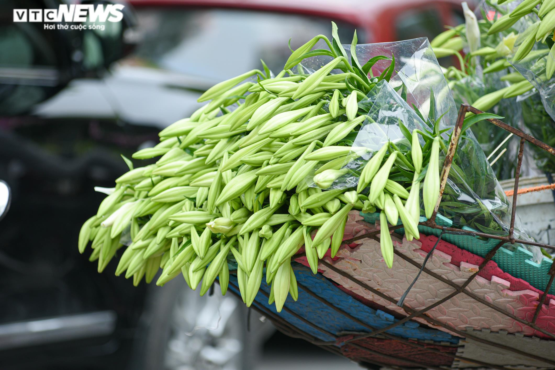 Ảnh: Hoa loa kèn khoe sắc khắp phố phường Hà Nội - 4