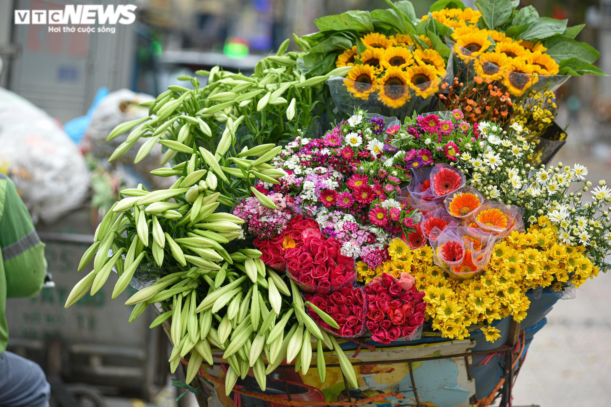 Ảnh: Hoa loa kèn khoe sắc khắp phố phường Hà Nội - 11