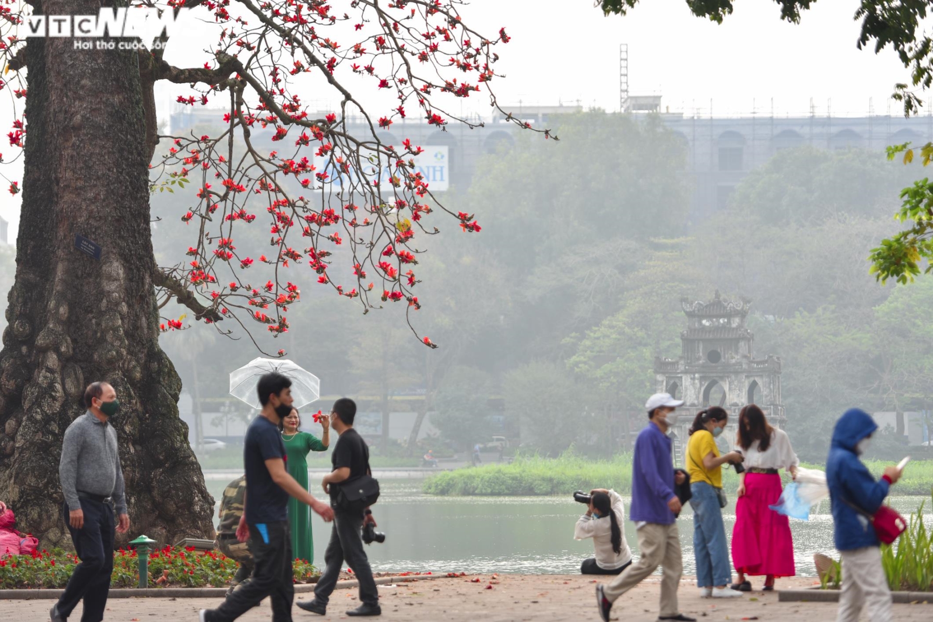 Ảnh: Phố phường Hà Nội đẹp nên thơ mùa cây thay lá - 10
